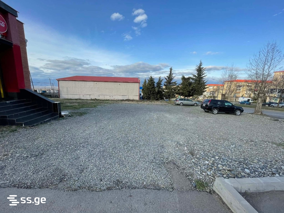 Land For Rent. Telavi view 4