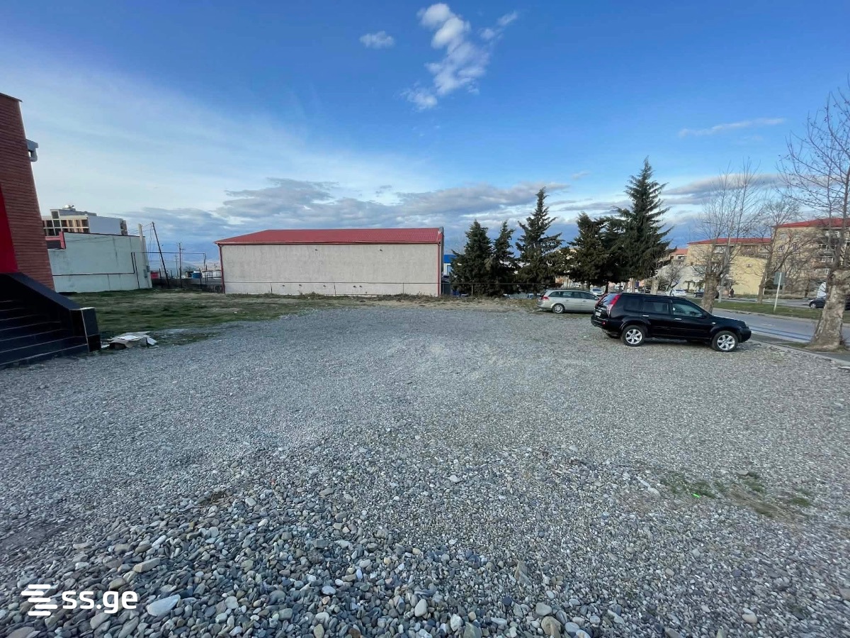 Land For Rent. Telavi view 3