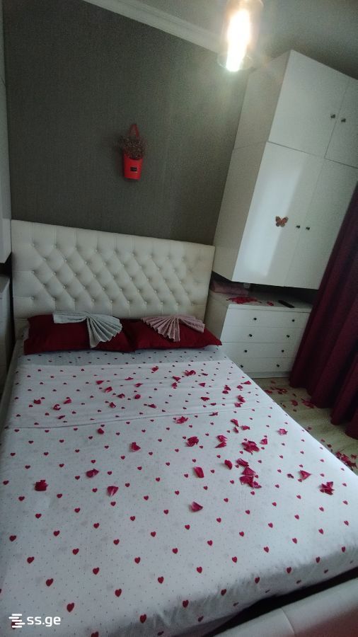2 Room Flat Daily Rent. Rustavi view 4
