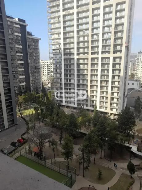 https://static.ss.ge/20260823/9_0255609b-3a9b-4a9a-b441-e4190b6b6305_Thumb.jpg
