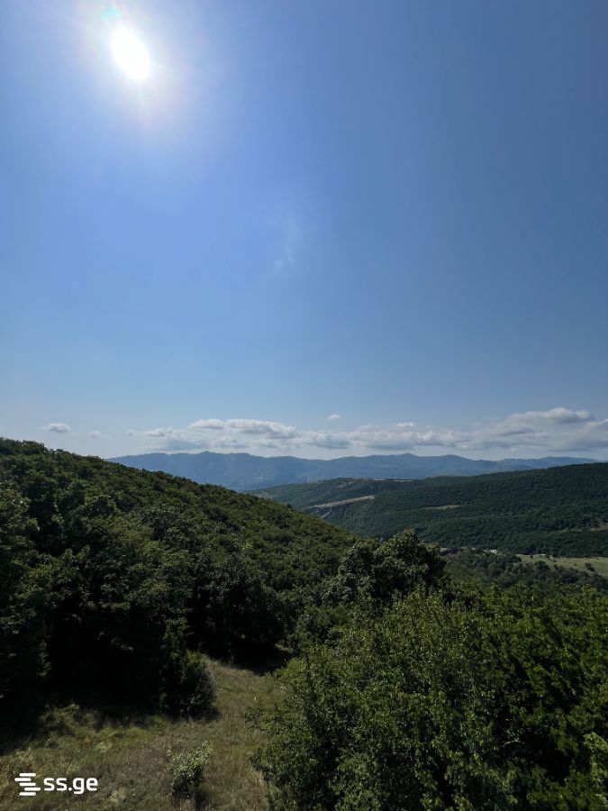 Land For Sale. Mukhattskaro view 3