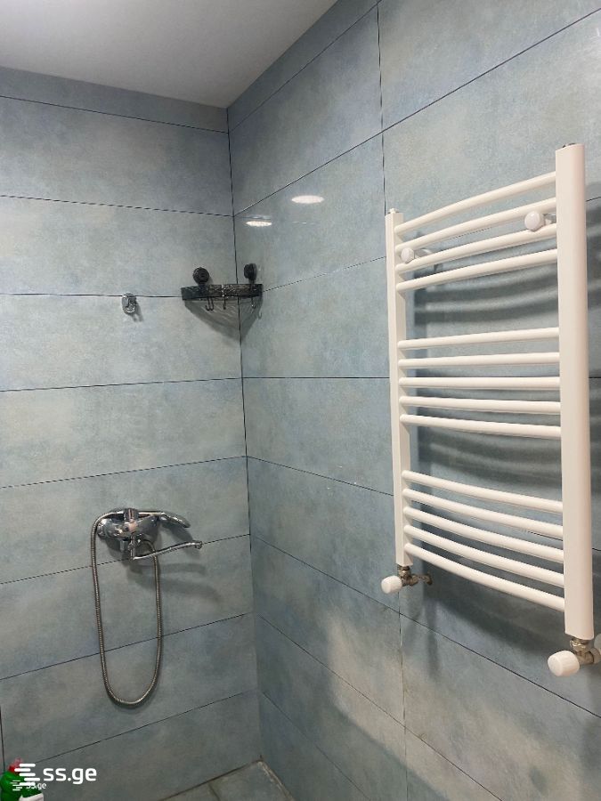 2-Room Apartment For Rent In Tbilisi, View Development view 16