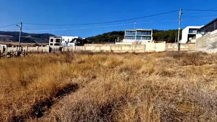 https://static.ss.ge/20260824/11_3a4ede87-6aa0-40c9-a863-8e1c76bb1617_Thumb.jpg