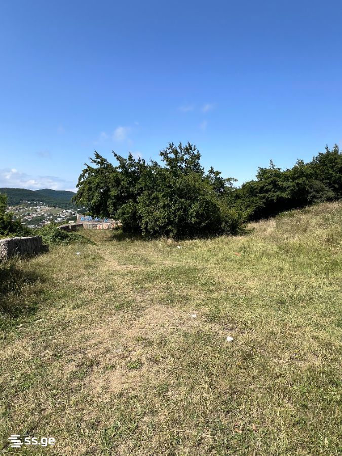 Land For Sale. Mukhattskaro view 6
