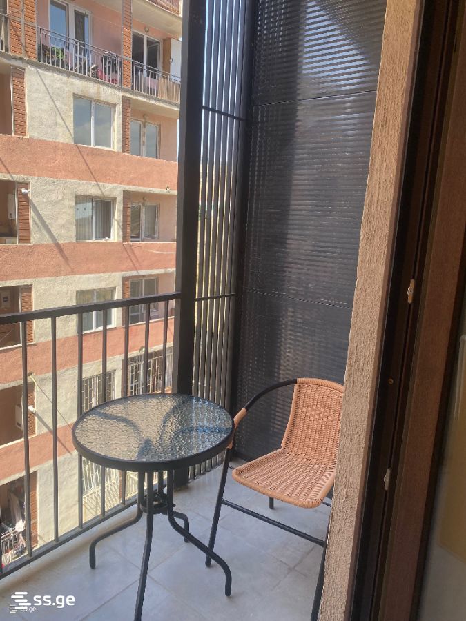 2-Room Apartment For Rent In Tbilisi, View Development view 18