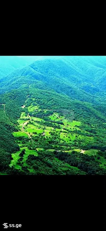 Land For Sale. Khashuri view 1