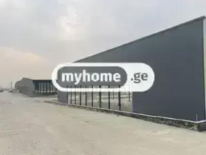 https://static.ss.ge/20260824/15_e879e64b-10dd-4502-862b-31670cdf7f9e_Thumb.jpg