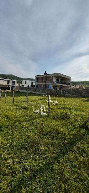https://static.ss.ge/20260824/16_72e45442-b51d-43ba-a224-66fa10d42ff8_Thumb.jpg