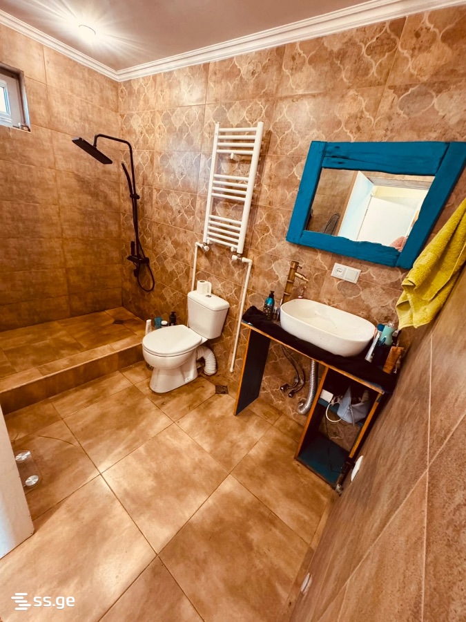 6 Room Private House Daily Rent. Grigoleti view 13