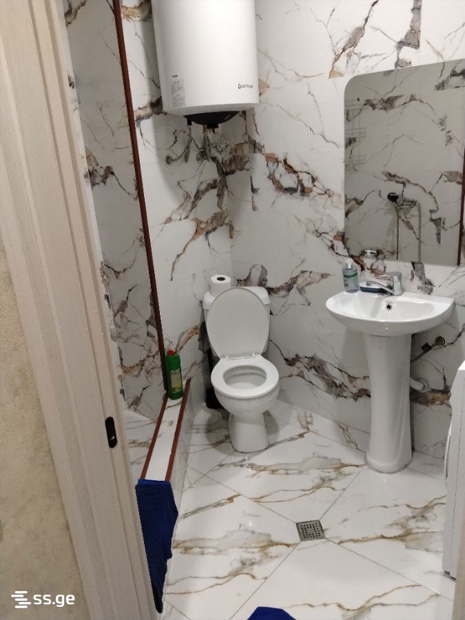 2 Room Flat Daily Rent. Shekvetili view 10