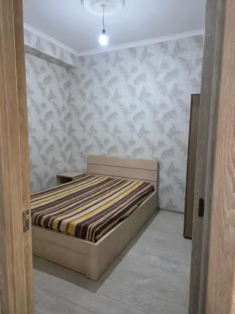 https://static.ss.ge/20260824/17_77f81c45-866d-425c-9e2a-24786eabe296_Thumb.jpg