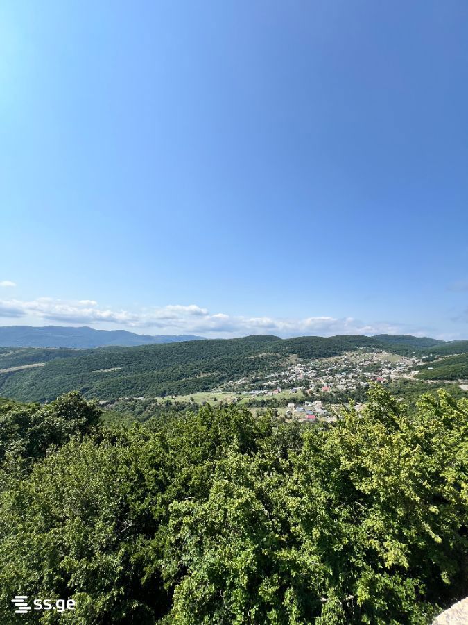 Land For Sale. Mukhattskaro view 1