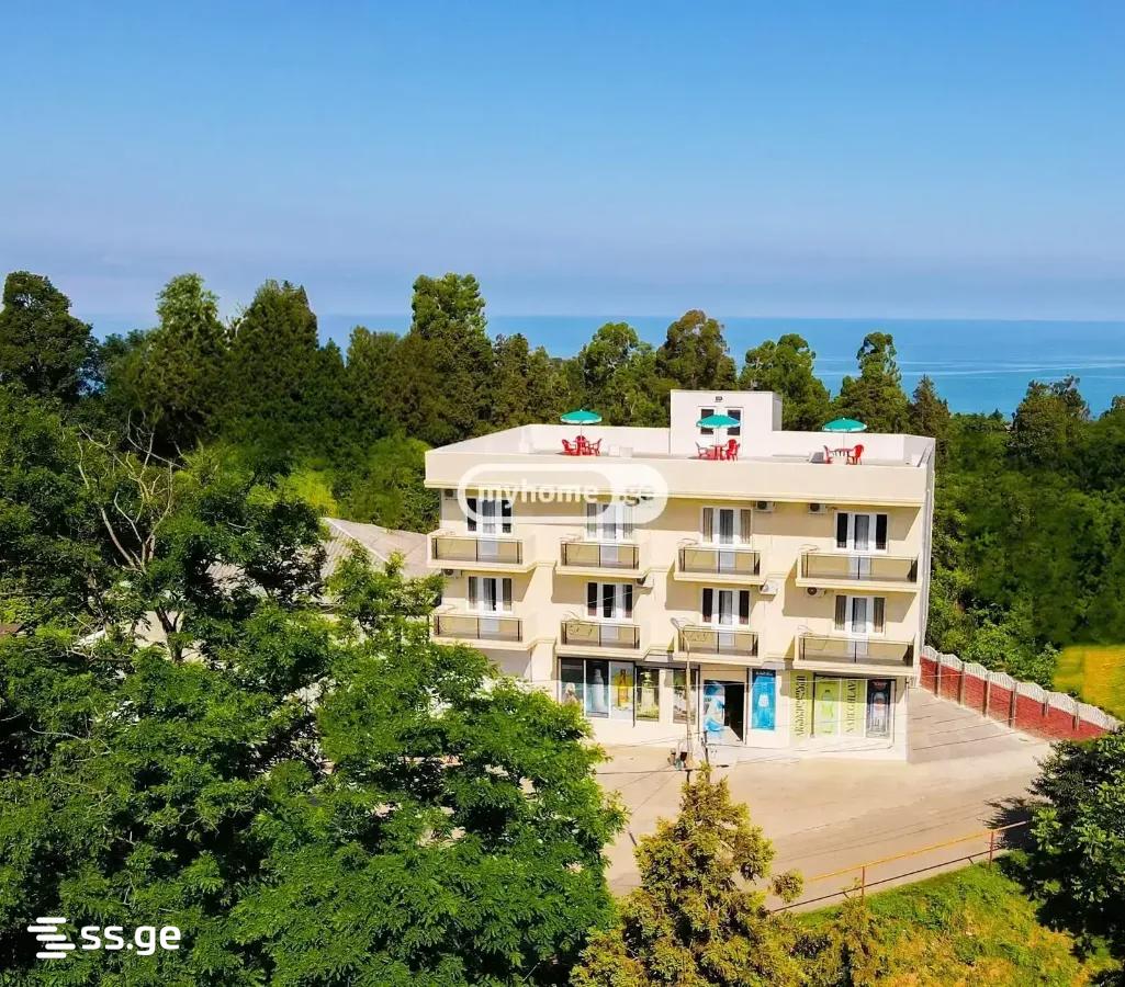 10 Room Flat Daily Rent. Tsikhisdziri view 1