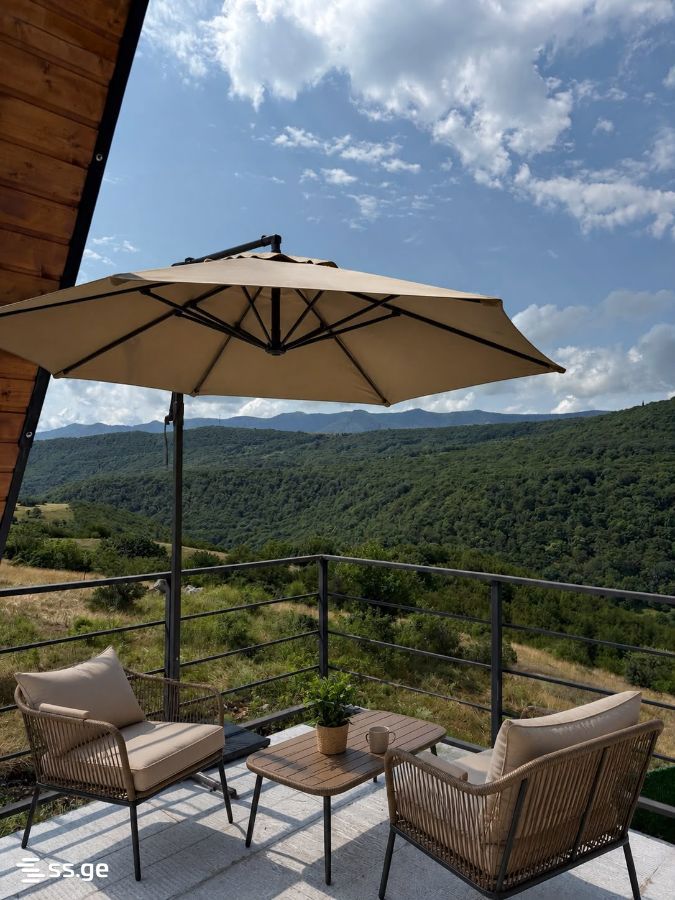 2 Room Summer Cottage Daily Rent. Manglisi view 13