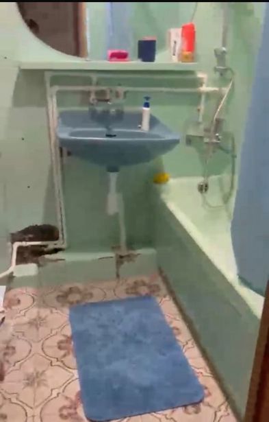 https://static.ss.ge/20260824/5_9aff16d5-0925-431e-9a03-cdf58ae0a442_Thumb.jpg
