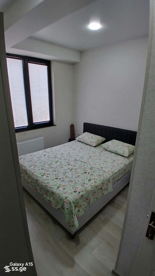2 Room Flat Daily Rent. Rustavi view 3