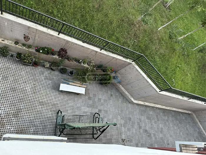 https://static.ss.ge/20260824/8_a780bf27-1d61-4849-b847-23e8aef2585b_Thumb.jpg