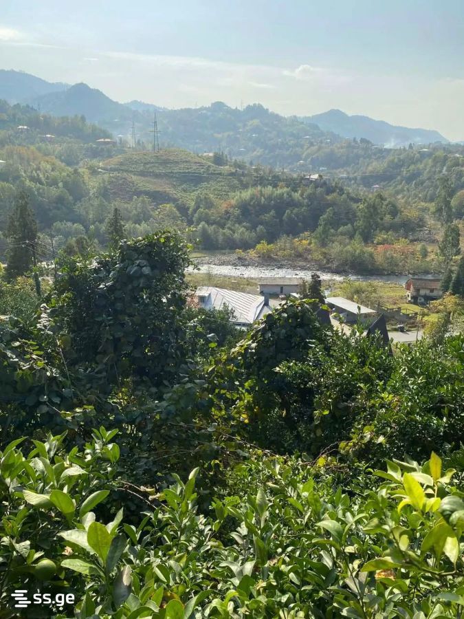 5 Room Private House For Rent. Chaqvi view 6