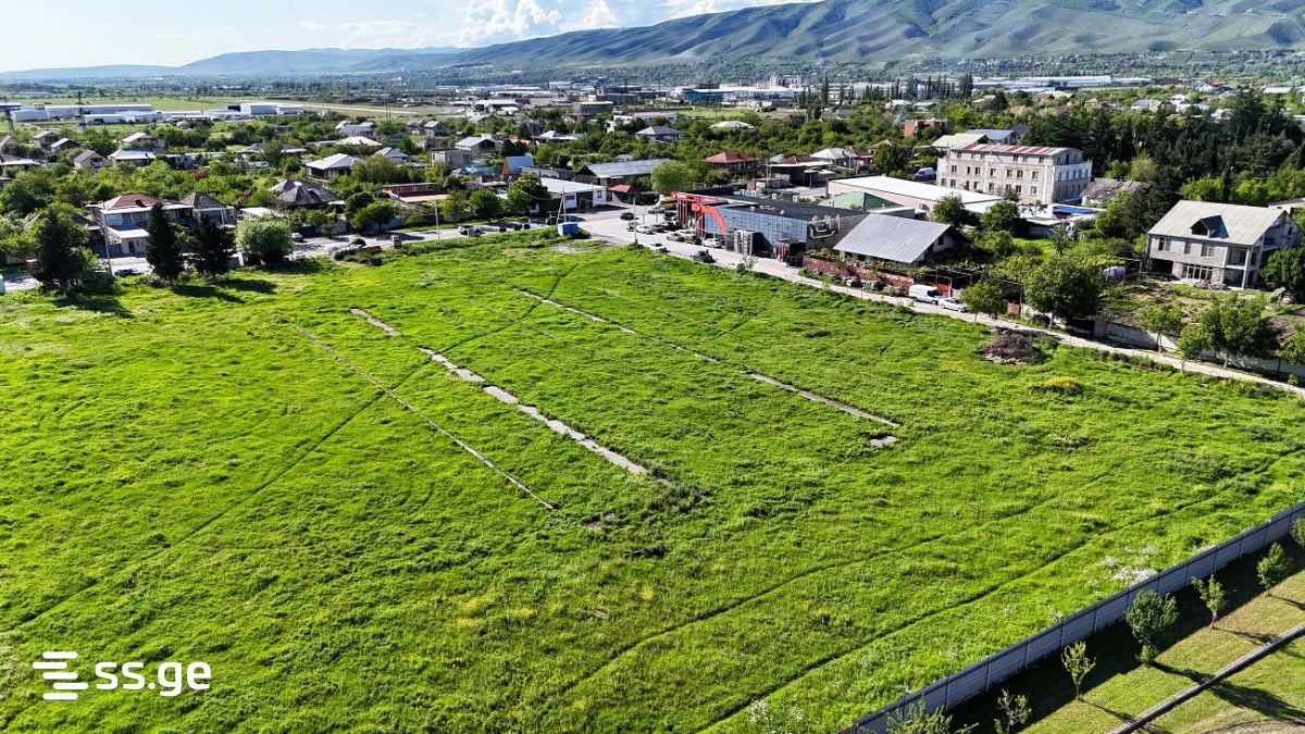 Land For Sale. Natakhtari view 5