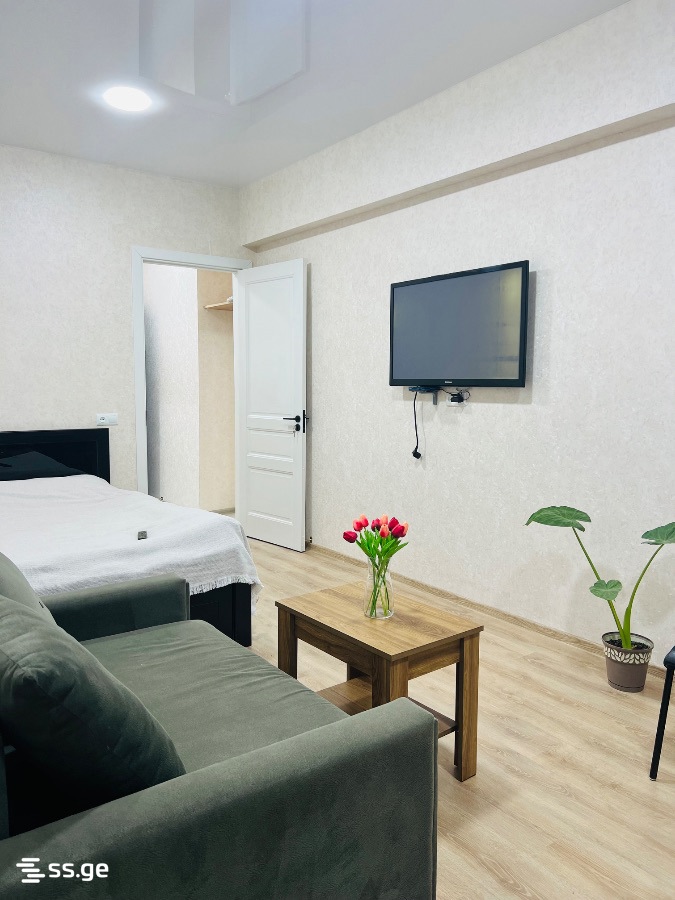 2 Room Apartment Daily Rent In Borjomi view 9