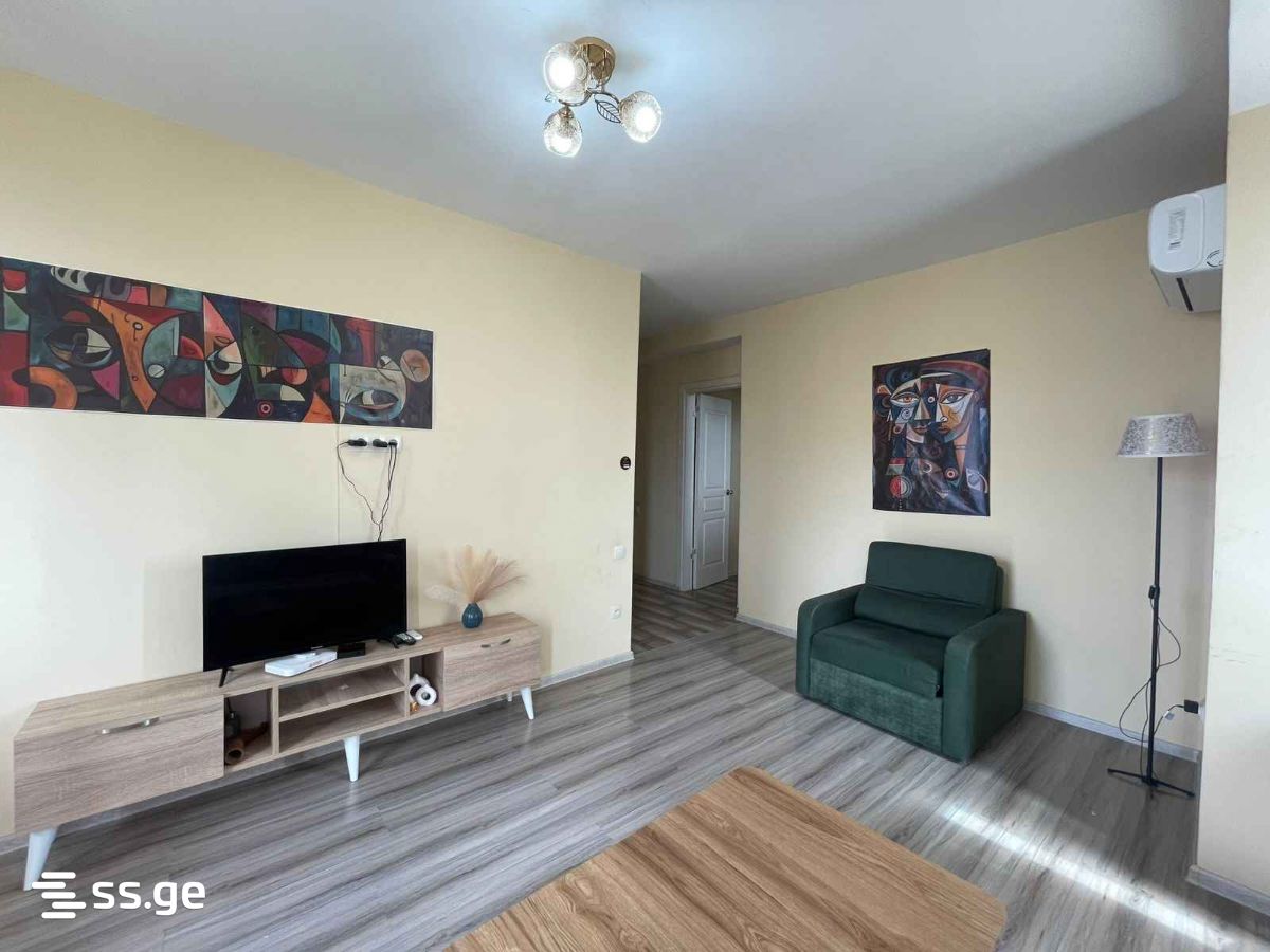 2 Room Flat For Rent. Poti view 4