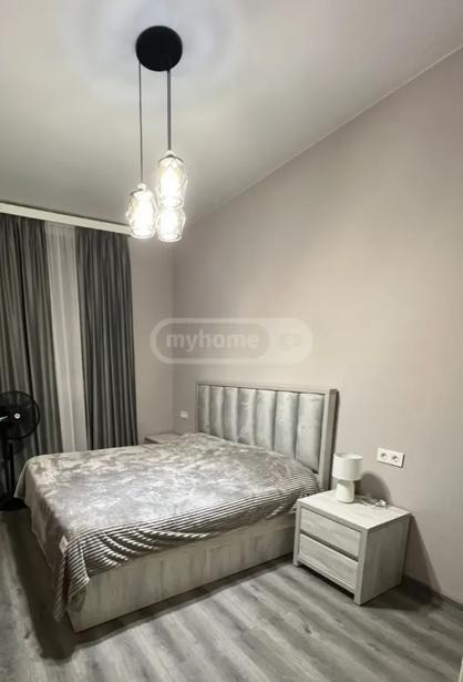 https://static.ss.ge/20260825/11_f2cc9ee5-225a-4d10-b614-651264944678_Thumb.jpg