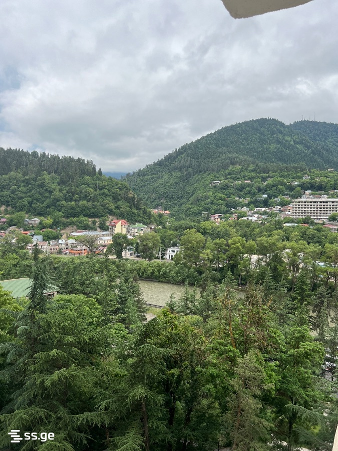 2 Room Apartment Daily Rent In Borjomi view 17