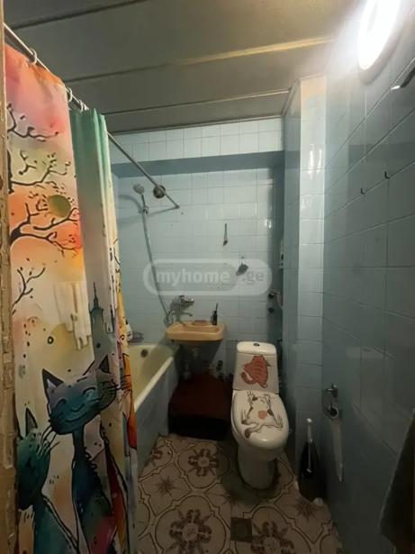 https://static.ss.ge/20260825/16_cedc82e2-e7ca-414f-8716-7218b9eb171a_Thumb.jpg