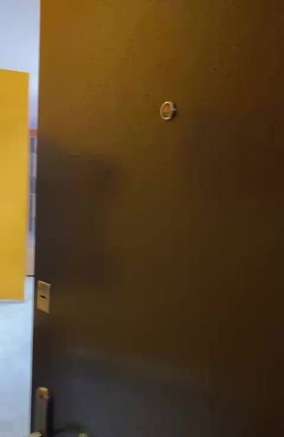 https://static.ss.ge/20260825/17_83b1b82c-c384-4cd9-ba63-dc4f7f866dec_Thumb.jpg
