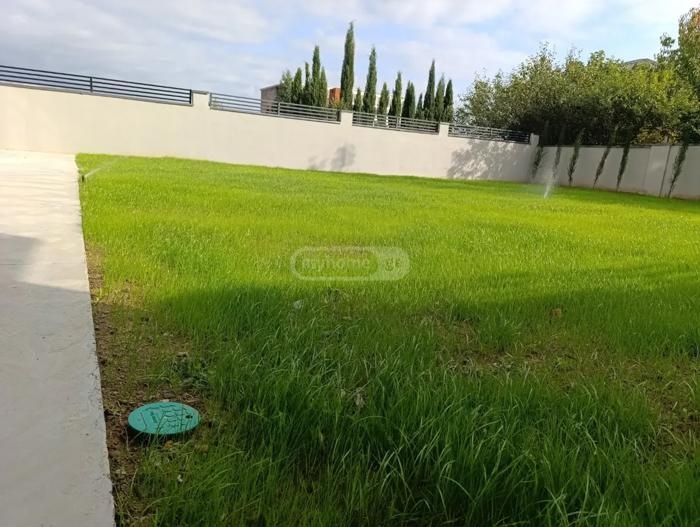 https://static.ss.ge/20260825/19_73920f71-693e-4b4e-938c-218f8f76f9ca_Thumb.jpg