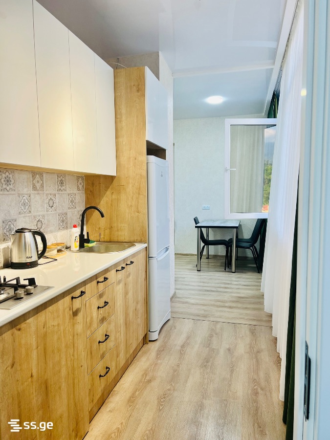 2 Room Apartment Daily Rent In Borjomi view 10