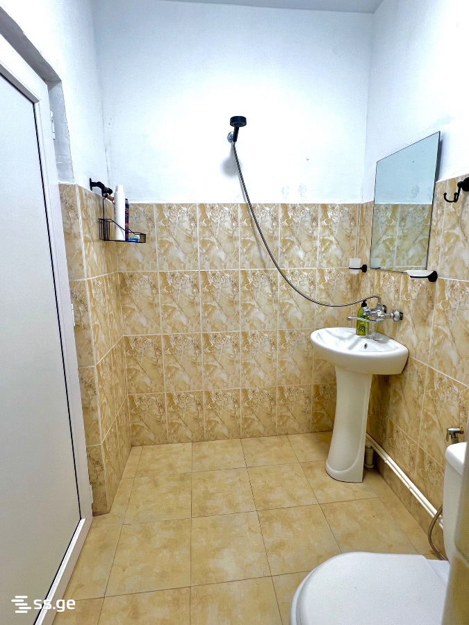 2 Room Apartment Daily Rent In Borjomi view 15