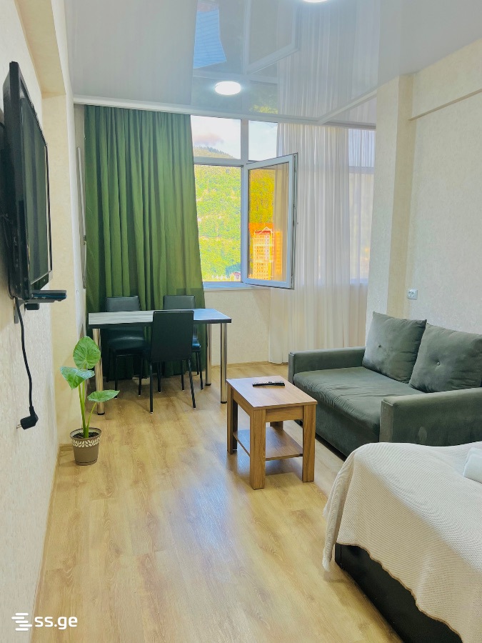 2 Room Apartment Daily Rent In Borjomi view 11
