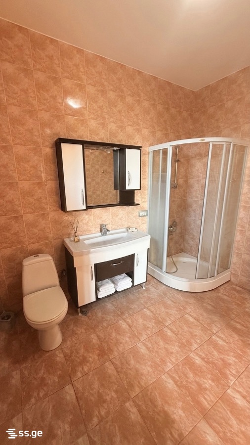 8 Room Private House For Rent. Akhalsopeli view 7