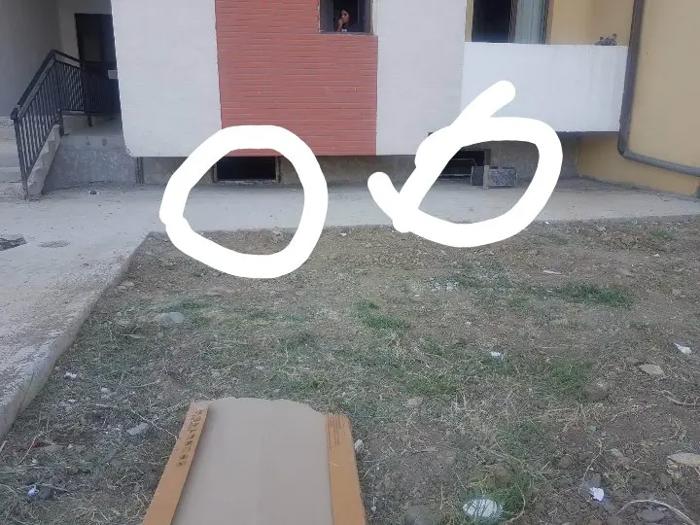 https://static.ss.ge/20260825/8_76cc1086-5366-4b99-a2d9-f3632d0d9648_Thumb.jpg