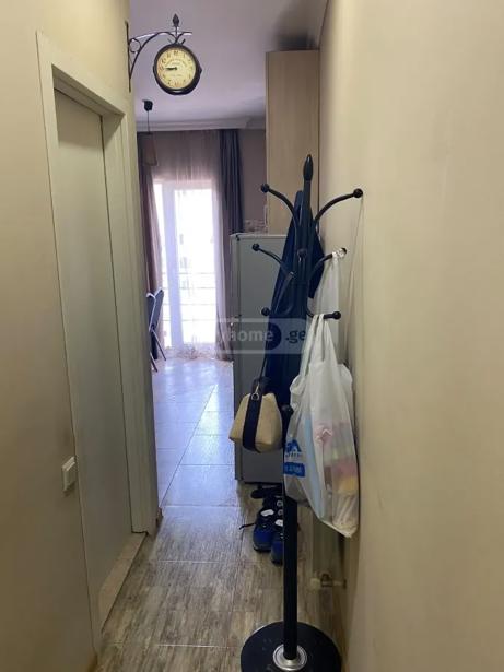 https://static.ss.ge/20260825/8_fd42b33b-0c12-4332-b4a4-03bbe4c21f93_Thumb.jpg