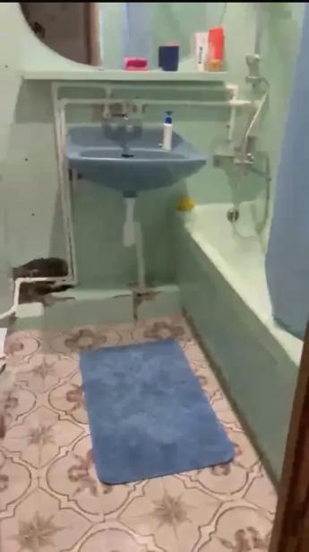 https://static.ss.ge/20260826/0_678fc40e-1cc1-4911-96a2-70b06acc0413_Thumb.jpg