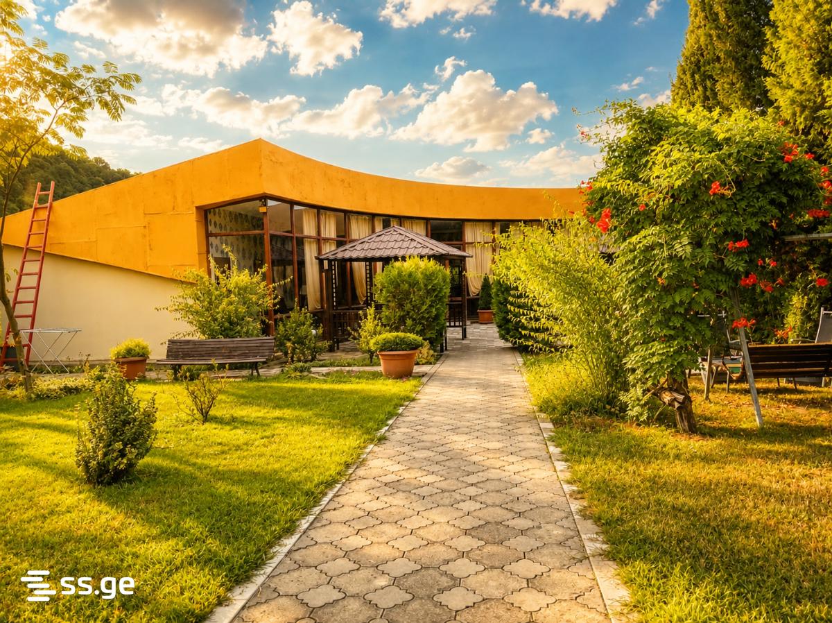 4 Room Hotel For Rent. Kvareli view 5