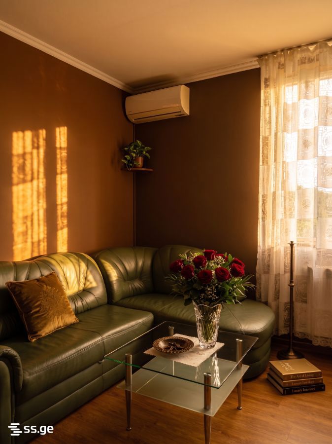 4 Room Hotel For Rent. Kvareli view 1