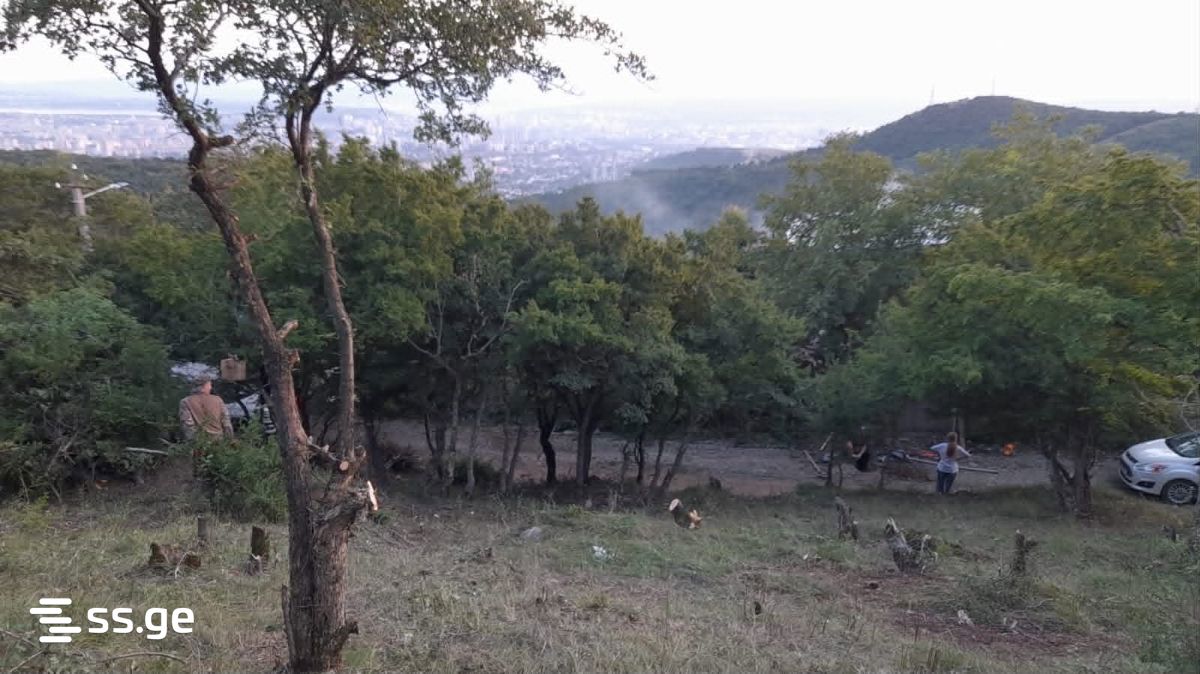 Land For Sale. Mamkoda view 3