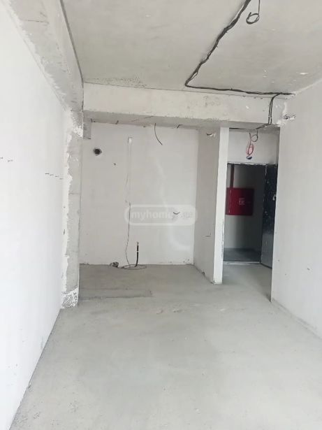 https://static.ss.ge/20260826/13_aa8db101-d46b-4458-8db2-fd9a0507e40b_Thumb.jpg