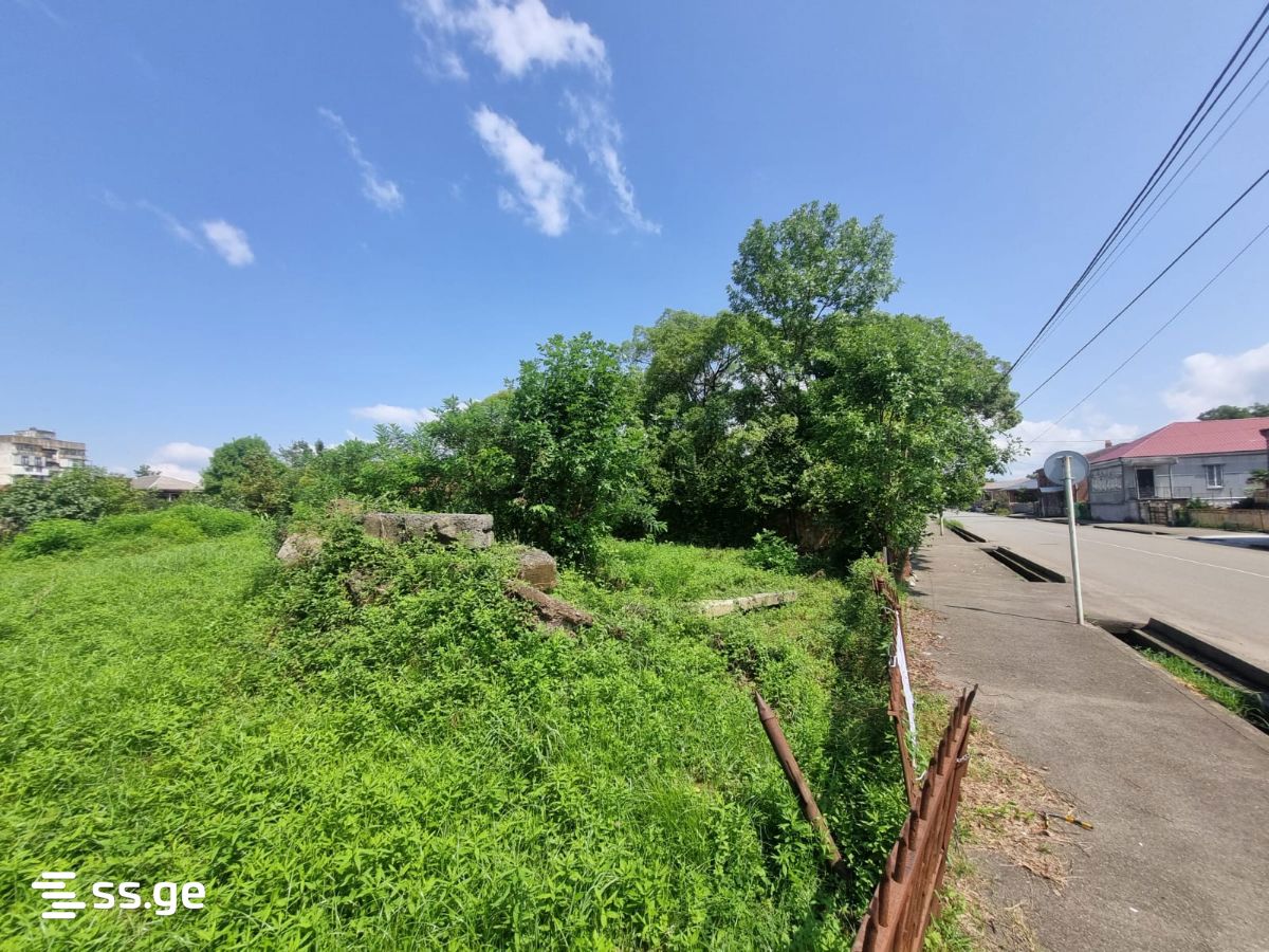 Land For Sale. Poti view 6