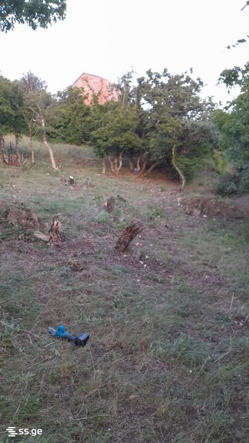 Land For Sale. Mamkoda view 6