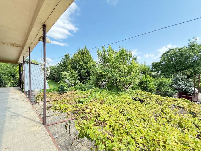 https://static.ss.ge/20260826/1_f632b4f0-95a6-426e-bff3-5dd29dda5a0f_Thumb.jpg