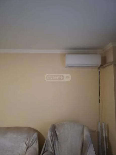 https://static.ss.ge/20260826/4_8fe3db6e-67df-47d0-a406-4c5bf0200187_Thumb.jpg