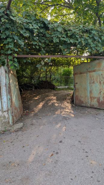https://static.ss.ge/20260826/5_4eeae392-6aea-4e05-9994-80b49a67eac9_Thumb.jpg