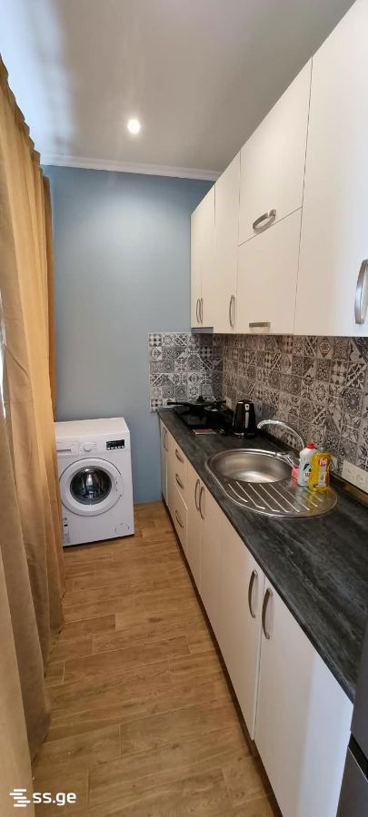 4 Room Summer Cottage For Rent. Grigoleti view 4