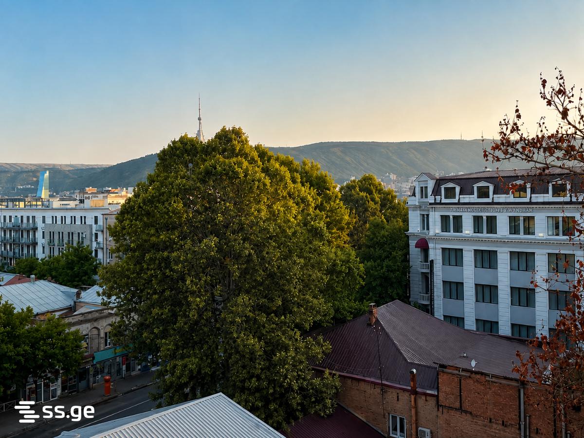 Tevdore Mghvdeli St, 3/32: 6-Room, 210.0 M² | Korter.Ge view 33
