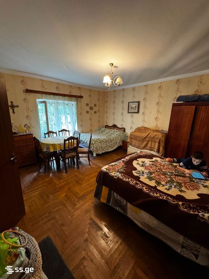 4 Room Private House For Rent. Bazaleti view 11