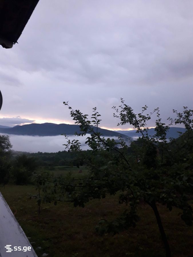 3 Room Private House Daily Rent. Ambrolauri view 5